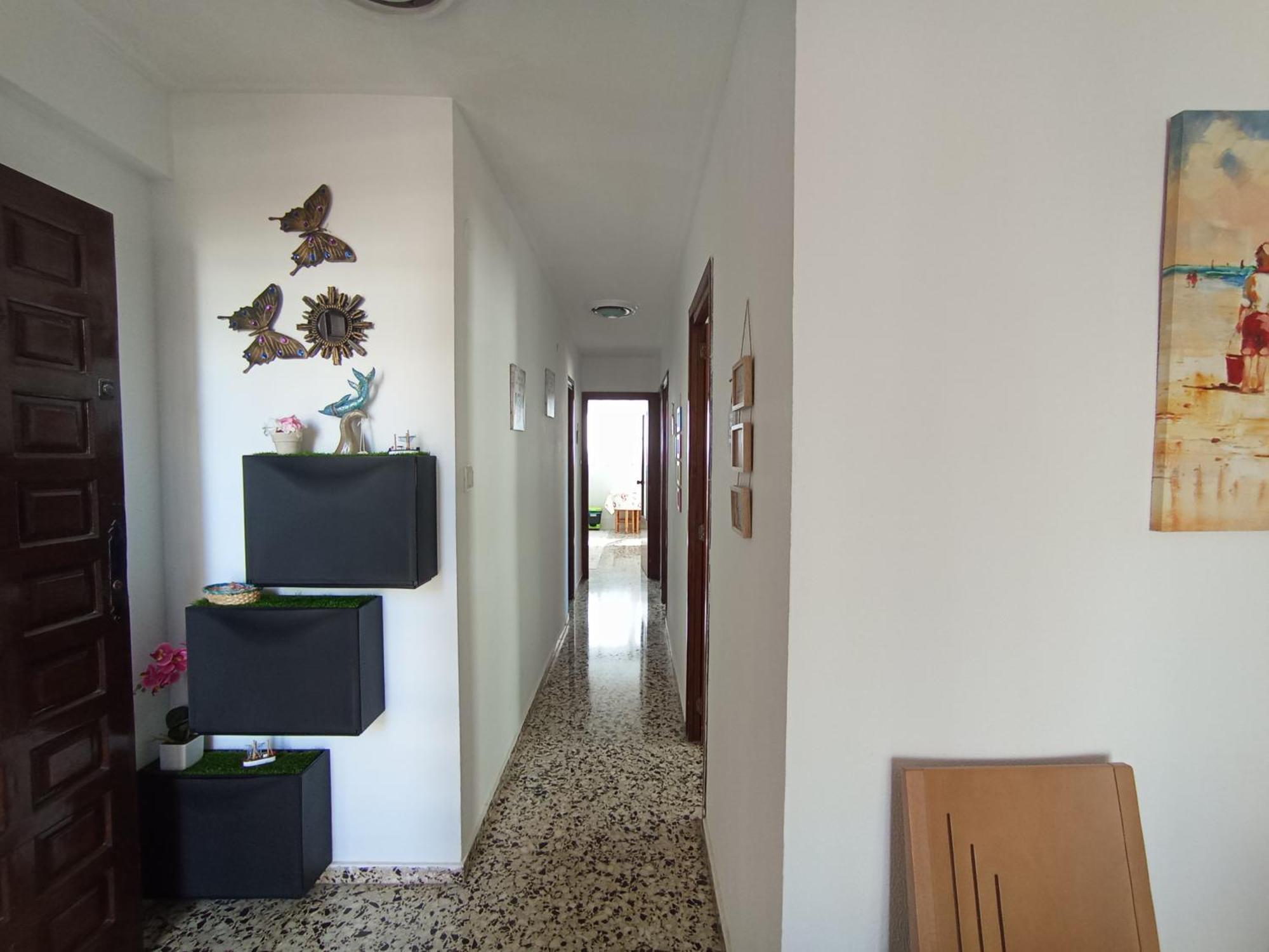 Apartamento 3 Paupi Oliva Extérieur photo