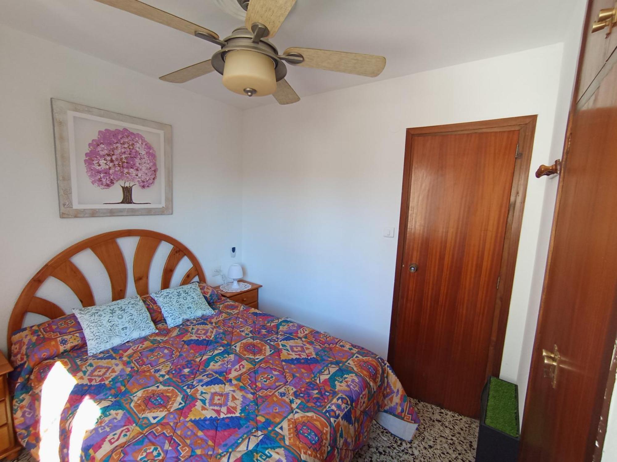 Apartamento 3 Paupi Oliva Extérieur photo